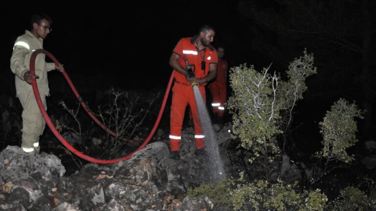 Mersin’de orman yangını – Son Dakika Haberleri