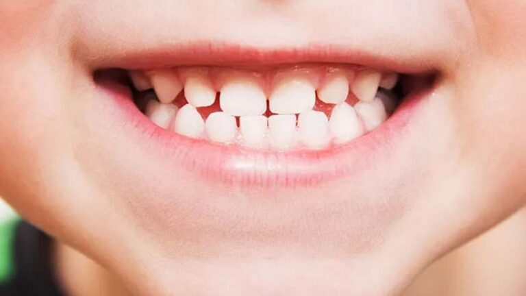 Japon bilim insanları dişlerin uzamasına ve yeniden çıkmasına yardımcı bir ilaç geliştirdi