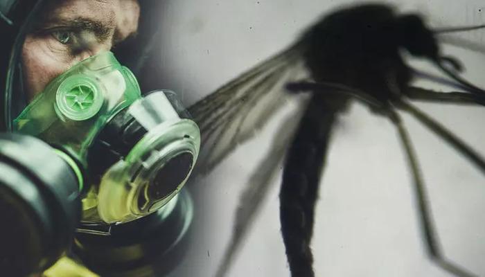 Yunanistan’da Batı Nil Virüsü alarmı! Çok sayıda kişi öldü, vaka sayısı artıyor