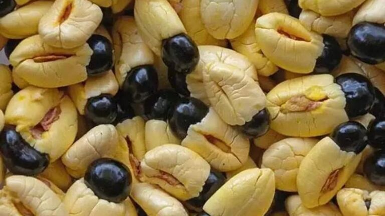 Türkiye’de yeterli ilgiyi görmüyor: Damar genişleten tek meyve