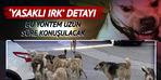 Bu yöntem hakkında uzun süre konuşacağız! Formül tartışılarak geliştirildi.