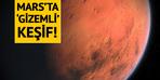 Mars'ta bulundu, büyük heyecan yarattı! Oldukça gizemli... Dikkat çekiyor "gelecekteki ev" detay