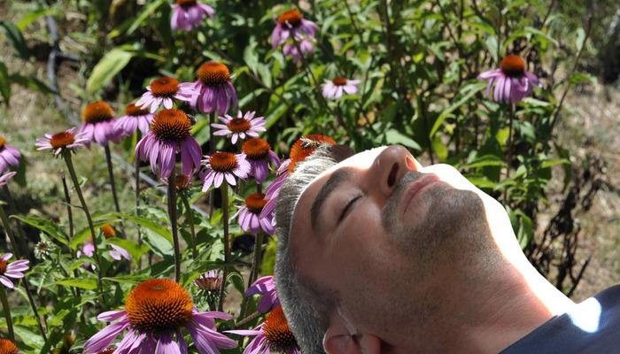 Binlerce arının üzerine yatıp daha dinç kalkıyorlar! Rusya’da yaygındı ülkemizde de popüler hale geldi