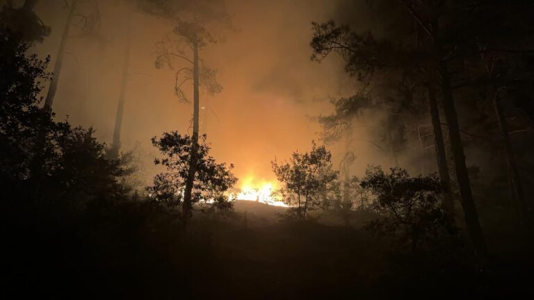 Kahramanmaraş’taki orman yangınına müdahale gece de sürüyor