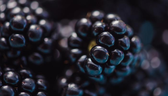 Faydalarını duyan avuç avuç tüketiyor! Kanser başta olmak üzere birçok derde deva