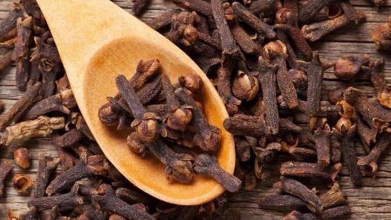 KANSER GELİŞİMİNİ ÖNLÜYOR: Karanfil Yağının Faydaları Nelerdir? Neye İyi Gelir? Karanfil Yağının Az Bilinen Faydaları