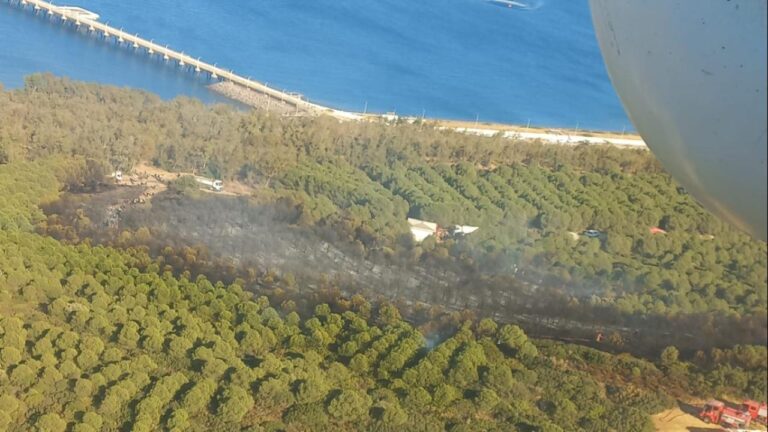 İzmir’de orman yangını – Son Dakika Haberleri