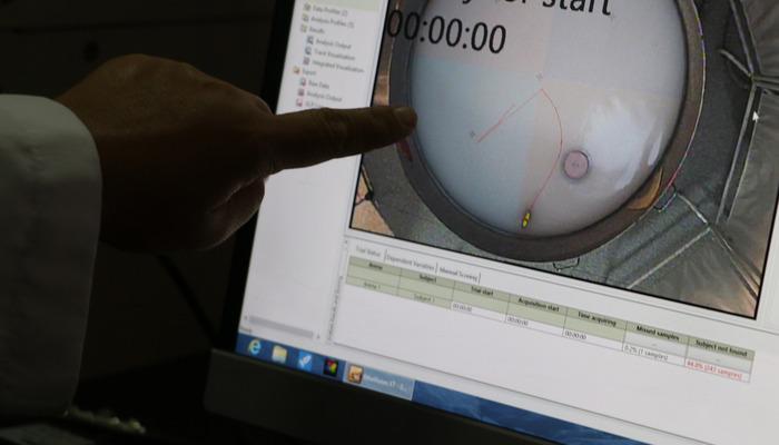 Kayseri'de keşfedildi! Türk ve Fransız bilim adamlarının 15 yıllık çalışmaları sonuç verdi… Dünyada bunlardan çok az var.