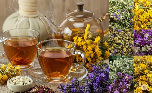 Doğanın İyileştirici Gücü: Lavanta Yağı Faydaları, Kuşburnu Çayı Faydaları ve Karnıyarık Otu Tozu